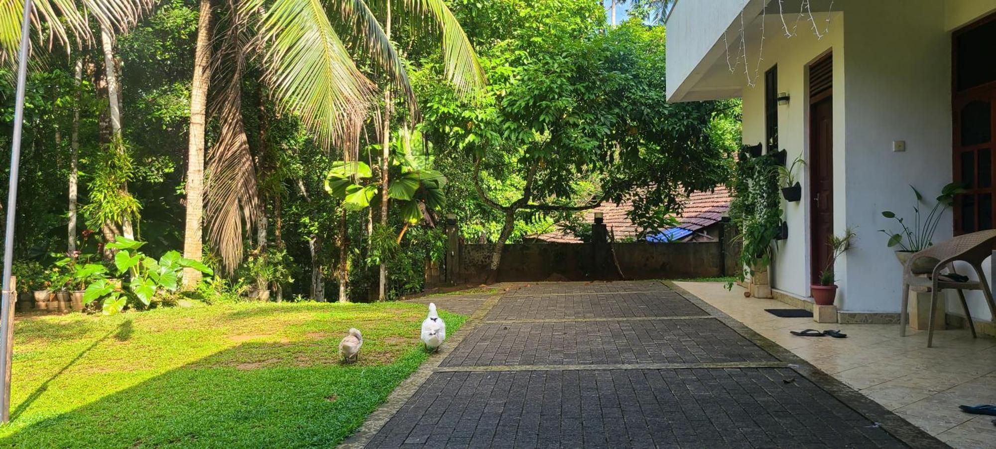 'Kolamba Gedara' Green Apartment Ruwanwella Bagian luar foto